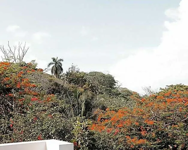 Salvatierra Beachfront